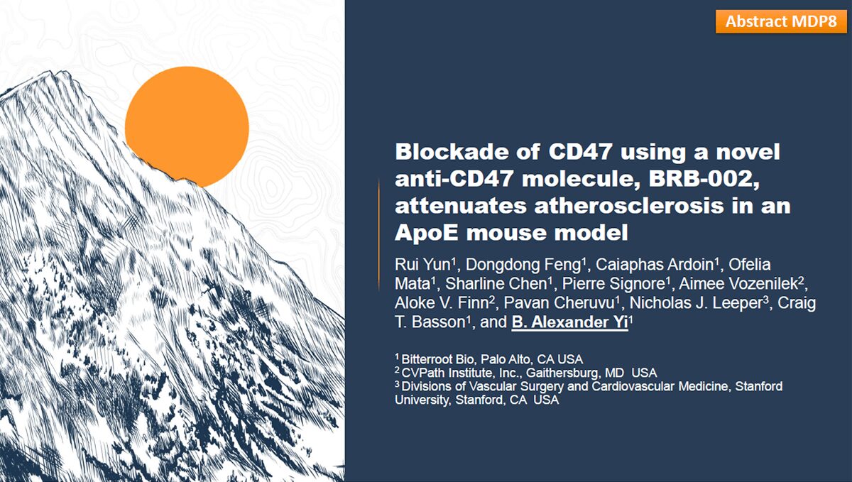 Blockade of CD47 using a novel anti-CD47 molecule thumbnail image