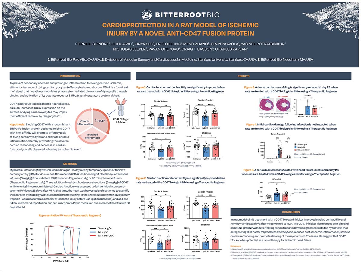 Cardioprotection Rat Model Ischemic Injury